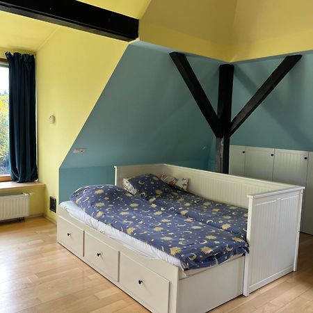 Dom Z Ogrodem Blisko Centrum Poznan Ngoại thất bức ảnh